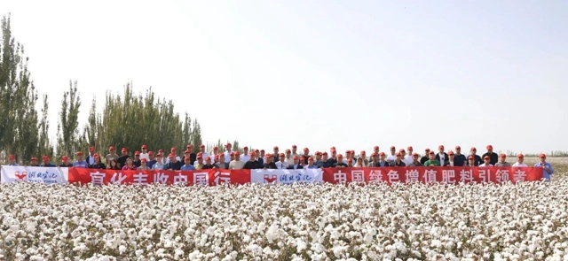 宜化豐收中國行！新疆棉花大型測產(chǎn)觀摩會(huì)成功舉行